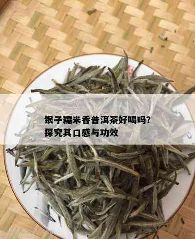 银子糯米香普洱茶好喝吗？探究其口感与功效