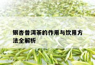 银杏普洱茶的作用与饮用方法全解析