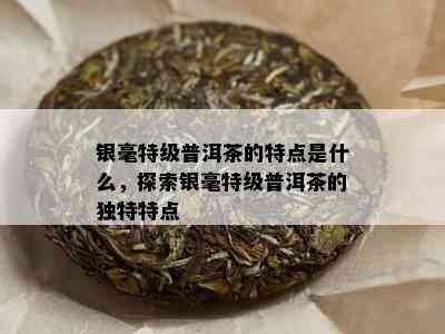 银毫特级普洱茶的特点是什么，探索银毫特级普洱茶的独特特点