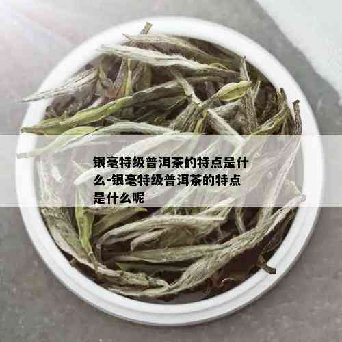 银毫特级普洱茶的特点是什么-银毫特级普洱茶的特点是什么呢