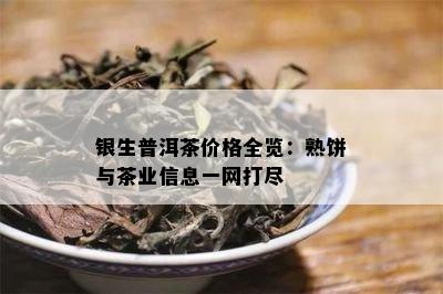 银生普洱茶价格全览：熟饼与茶业信息一网打尽