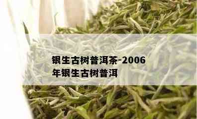 银生古树普洱茶-2006年银生古树普洱