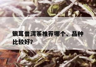 银耳普洱茶推荐哪个、品种比较好？