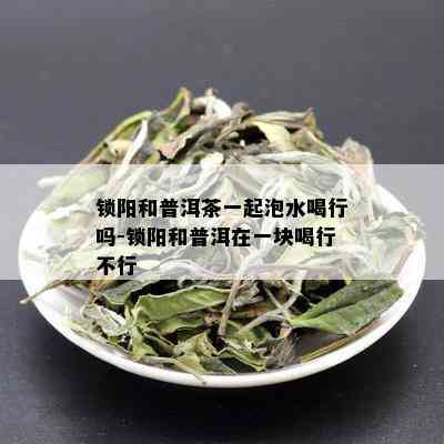 锁阳和普洱茶一起泡水喝行吗-锁阳和普洱在一块喝行不行