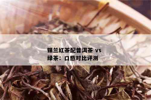 锡兰红茶配普洱茶 vs 绿茶：口感对比评测