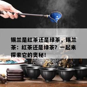 锡兰是红茶还是绿茶，锡兰茶：红茶还是绿茶？一起来探索它的奥秘！