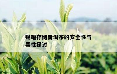 锡罐存储普洱茶的安全性与性探讨