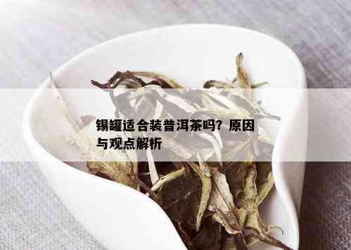 锡罐适合装普洱茶吗？原因与观点解析