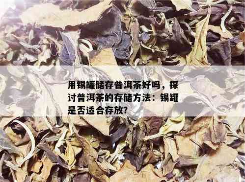 用锡罐储存普洱茶好吗，探讨普洱茶的存储方法：锡罐是否适合存放？