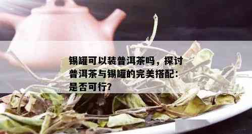 锡罐可以装普洱茶吗，探讨普洱茶与锡罐的完美搭配：是否可行？