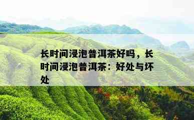 长时间浸泡普洱茶好吗，长时间浸泡普洱茶：好处与坏处