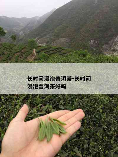 长时间浸泡普洱茶-长时间浸泡普洱茶好吗