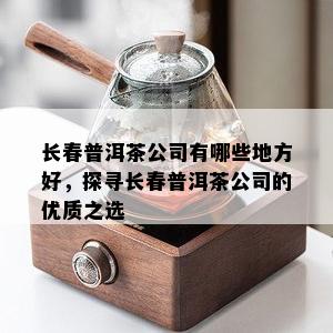 长春普洱茶公司有哪些地方好，探寻长春普洱茶公司的优质之选