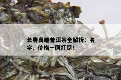 长春高端普洱茶全解析：名字、价格一网打尽！