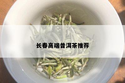 长春高端普洱茶推荐