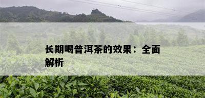 长期喝普洱茶的效果：全面解析