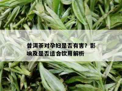 普洱茶对孕妇是否有害？影响及是否适合饮用解析