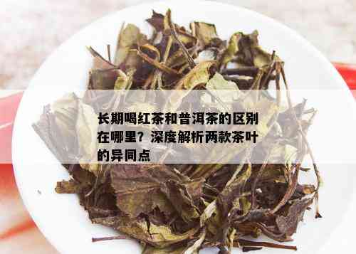 长期喝红茶和普洱茶的区别在哪里？深度解析两款茶叶的异同点