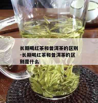 长期喝红茶和普洱茶的区别-长期喝红茶和普洱茶的区别是什么