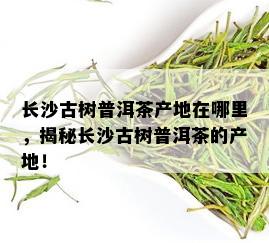 长沙古树普洱茶产地在哪里，揭秘长沙古树普洱茶的产地！