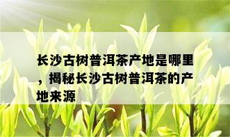 长沙古树普洱茶产地是哪里，揭秘长沙古树普洱茶的产地来源