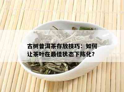 古树普洱茶存放技巧：如何让茶叶在更佳状态下陈化？