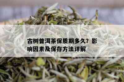 古树普洱茶保质期多久？影响因素及保存方法详解