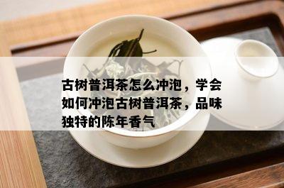 古树普洱茶怎么冲泡，学会如何冲泡古树普洱茶，品味独特的陈年香气