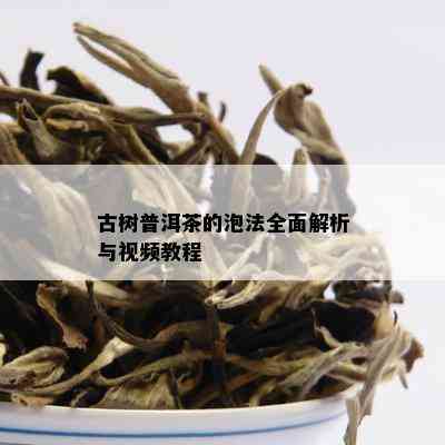 古树普洱茶的泡法全面解析与视频教程