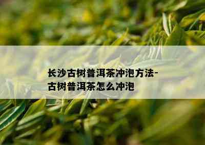 长沙古树普洱茶冲泡方法-古树普洱茶怎么冲泡