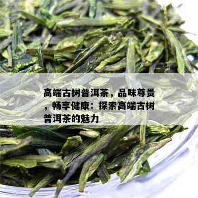 高端古树普洱茶，品味尊贵，畅享健康：探索高端古树普洱茶的魅力