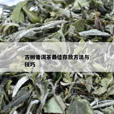 古树普洱茶更佳存放方法与技巧