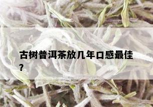 古树普洱茶放几年口感更佳？