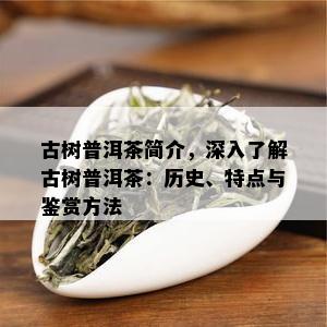 古树普洱茶简介，深入了解古树普洱茶：历史、特点与鉴赏方法