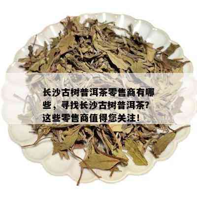 长沙古树普洱茶零售商有哪些，寻找长沙古树普洱茶？这些零售商值得您关注！