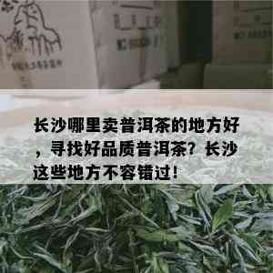 长沙哪里卖普洱茶的地方好，寻找好品质普洱茶？长沙这些地方不容错过！