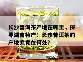 长沙普洱茶产地在哪里，探寻湖南特产：长沙普洱茶的产地究竟在何处？