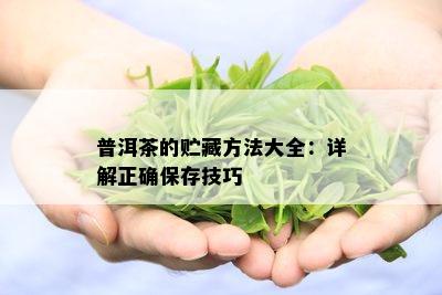 普洱茶的贮藏方法大全：详解正确保存技巧