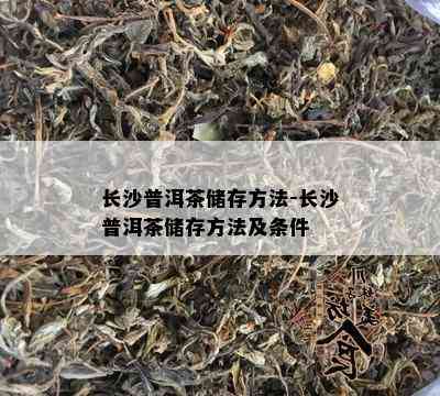 长沙普洱茶储存方法-长沙普洱茶储存方法及条件