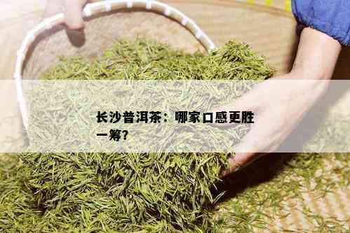 长沙普洱茶：哪家口感更胜一筹？