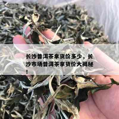 长沙普洱茶拿货价多少，长沙市场普洱茶拿货价大揭秘！