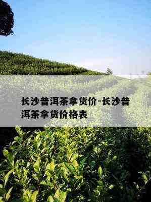 长沙普洱茶拿货价-长沙普洱茶拿货价格表