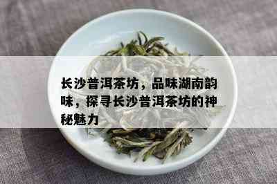 长沙普洱茶坊，品味湖南韵味，探寻长沙普洱茶坊的神秘魅力