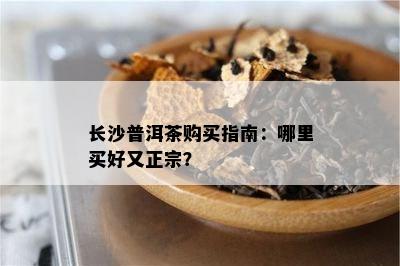 长沙普洱茶购买指南：哪里买好又正宗？