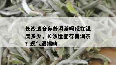 长沙适合存普洱茶吗现在温度多少，长沙适宜存普洱茶？现气温揭晓！