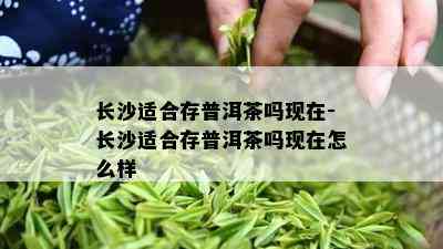 长沙适合存普洱茶吗现在-长沙适合存普洱茶吗现在怎么样