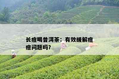 长痘喝普洱茶：有效缓解痘痘问题吗？