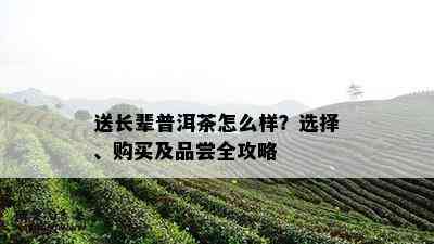 送长辈普洱茶怎么样？选择、购买及品尝全攻略