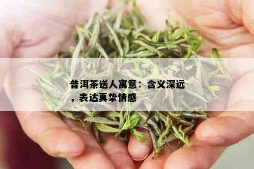 普洱茶送人寓意：含义深远，表达真挚情感