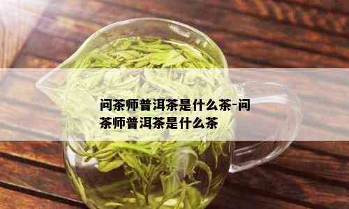 问茶师普洱茶是什么茶-问茶师普洱茶是什么茶